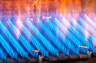 Greenrigg gas fired boilers
